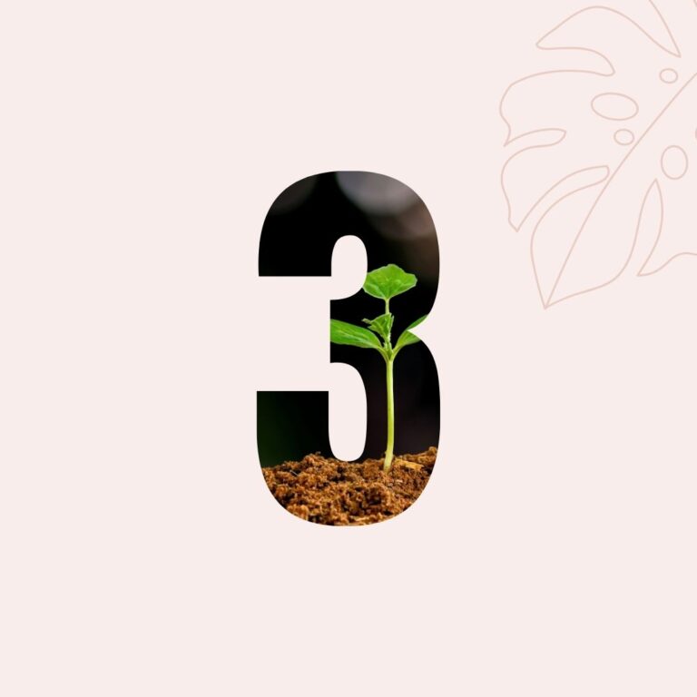 Number 3 with a plant growing in the background, stimulating growth